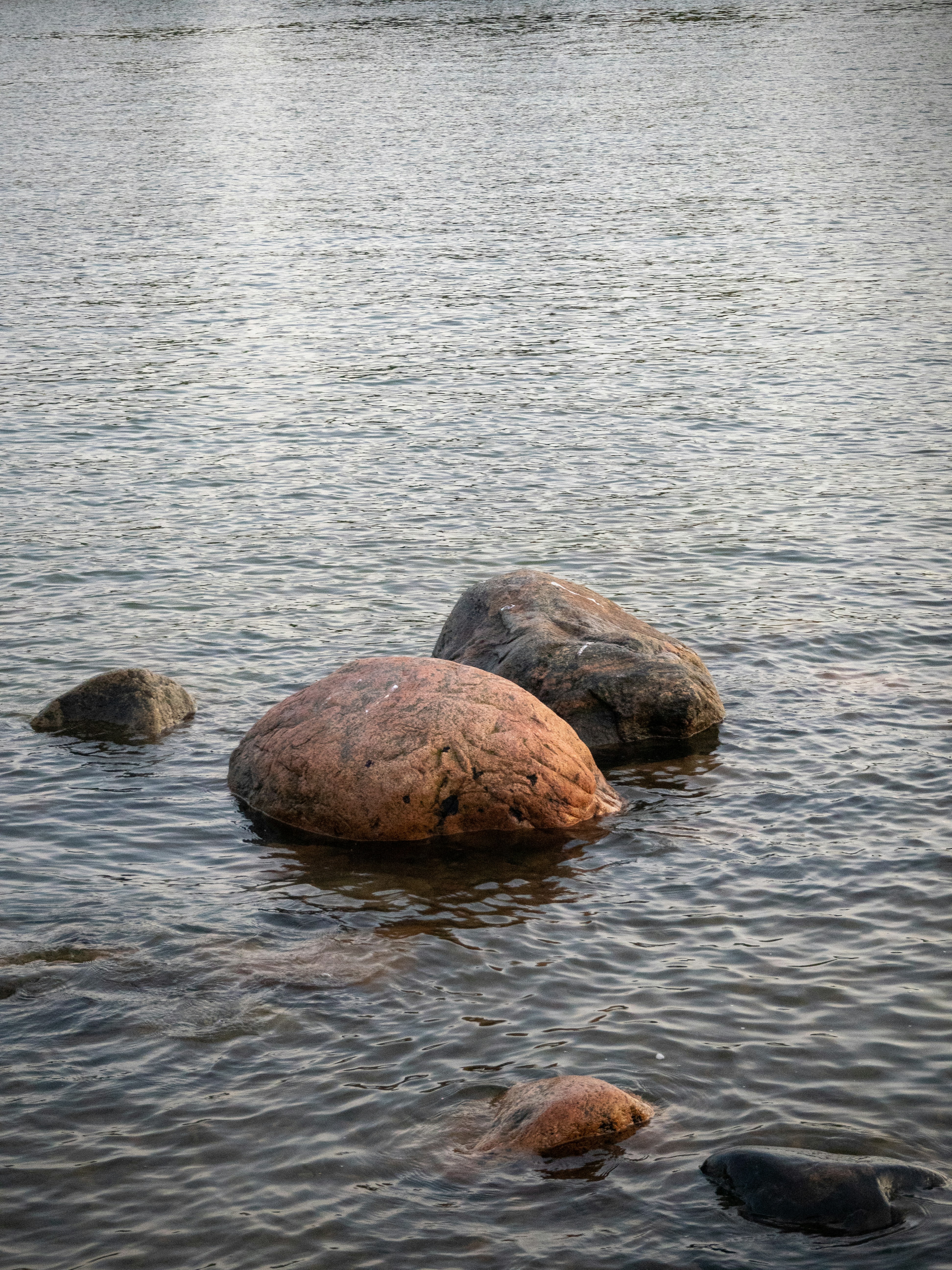 Photo by janifreelancing