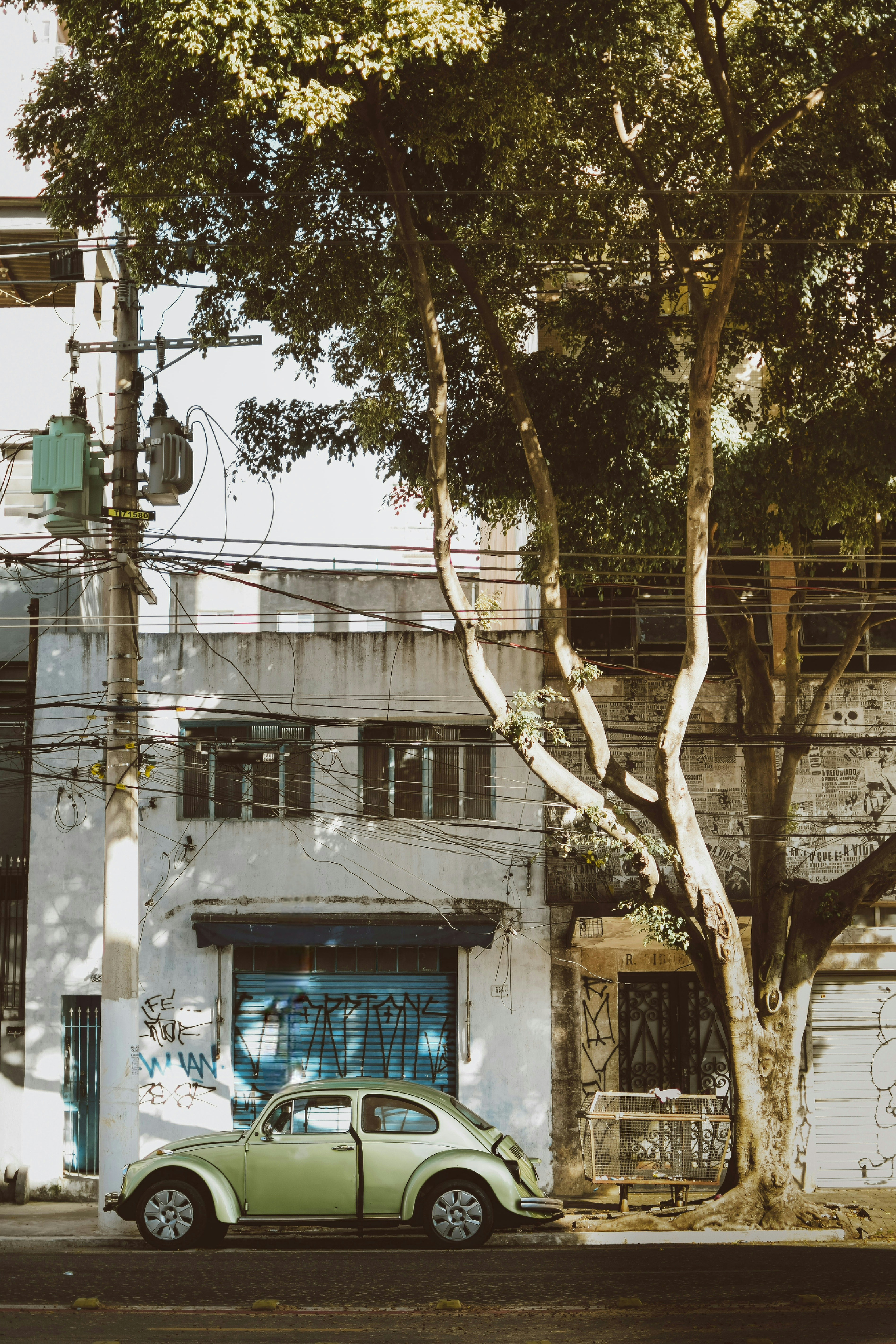 Photo by bnsouzafotografia