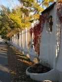 A long decorative concrete fence with circular cutouts and a path alongside it, covered with dry autumn leaves. Red climbing plants are draped over parts of the fence, and there are planters built into its base. The scene is set during autumn with trees in the background displaying green and golden foliage.