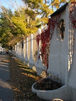 A long decorative concrete fence with circular cutouts and a path alongside it, covered with dry autumn leaves. Red climbing plants are draped over parts of the fence, and there are planters built into its base. The scene is set during autumn with trees in the background displaying green and golden foliage.