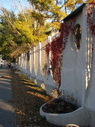 A long decorative concrete fence with circular cutouts and a path alongside it, covered with dry autumn leaves. Red climbing plants are draped over parts of the fence, and there are planters built into its base. The scene is set during autumn with trees in the background displaying green and golden foliage.