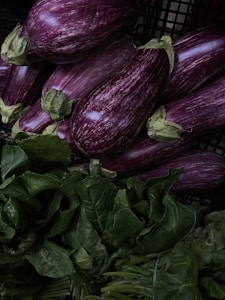 Glossy Purple Eggplants