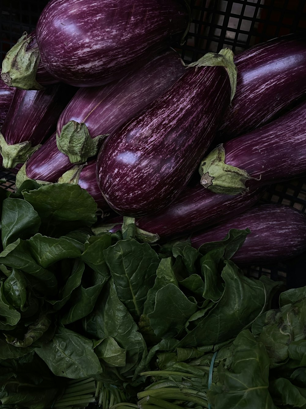 a pile of purple eggplant sitting on top of a pile of green leaves
