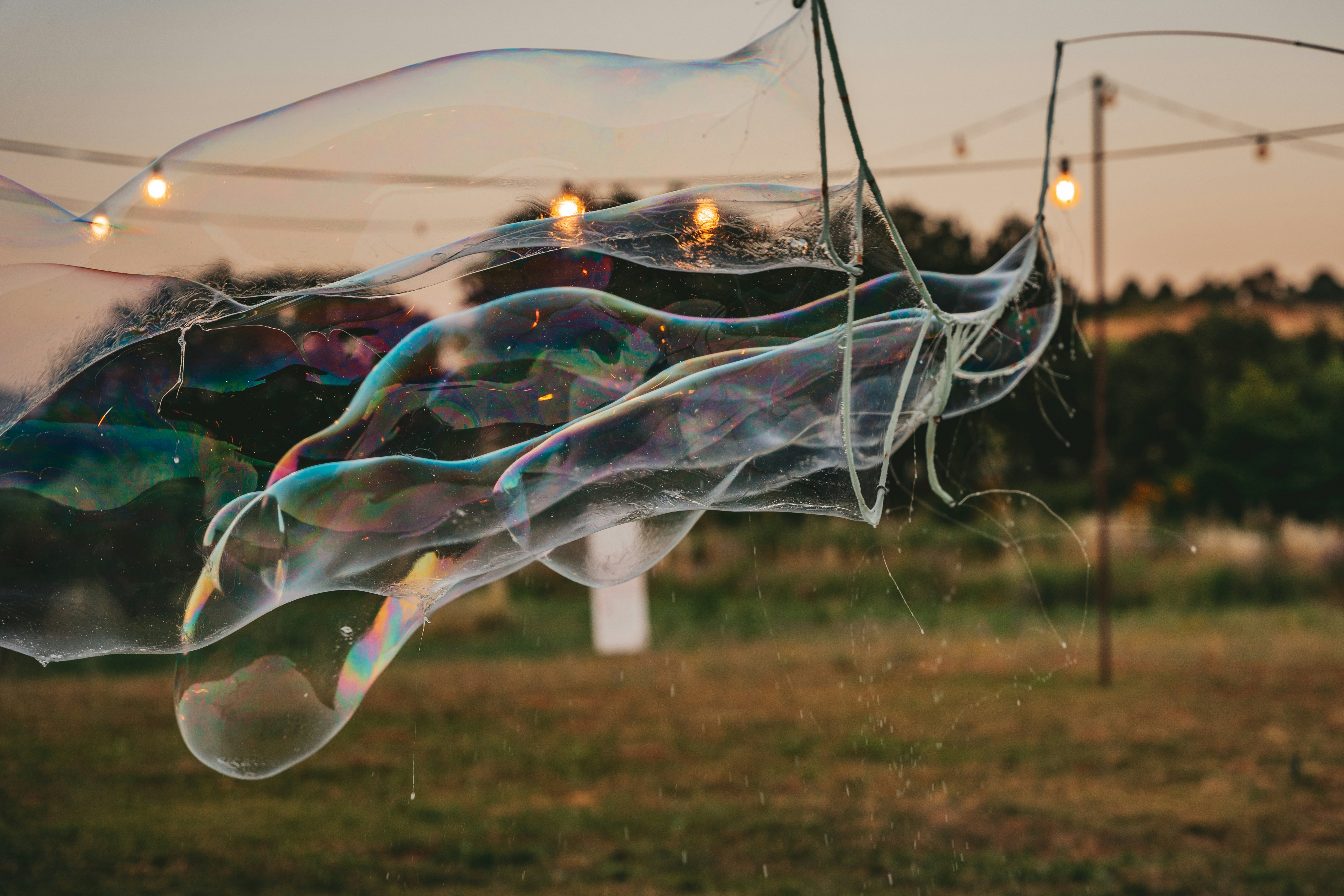 Photo by francesco_liotti