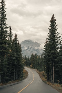 a road with a mountain in the background