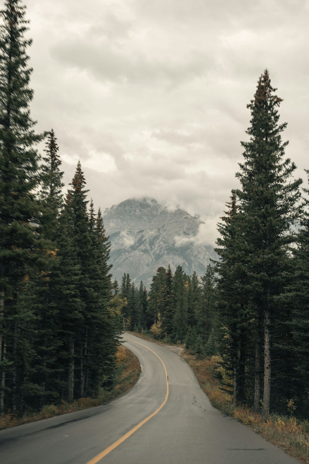 a road with a mountain in the background