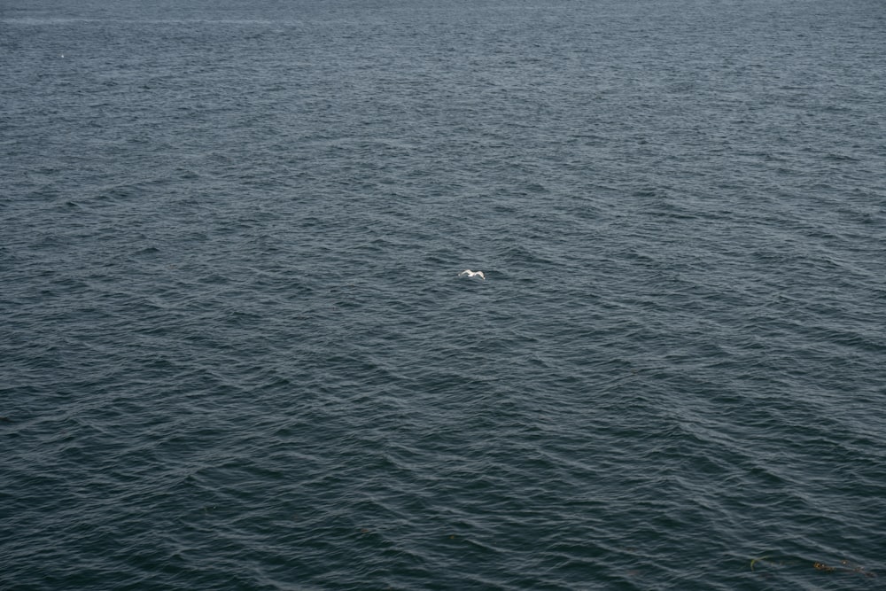 a large body of water with a boat in the distance