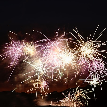 Bright and colorful fireworks burst in the night sky, creating intricate patterns of light and color. The contrast with the dark sky highlights the vivid explosions, evoking a sense of celebration and festivity.