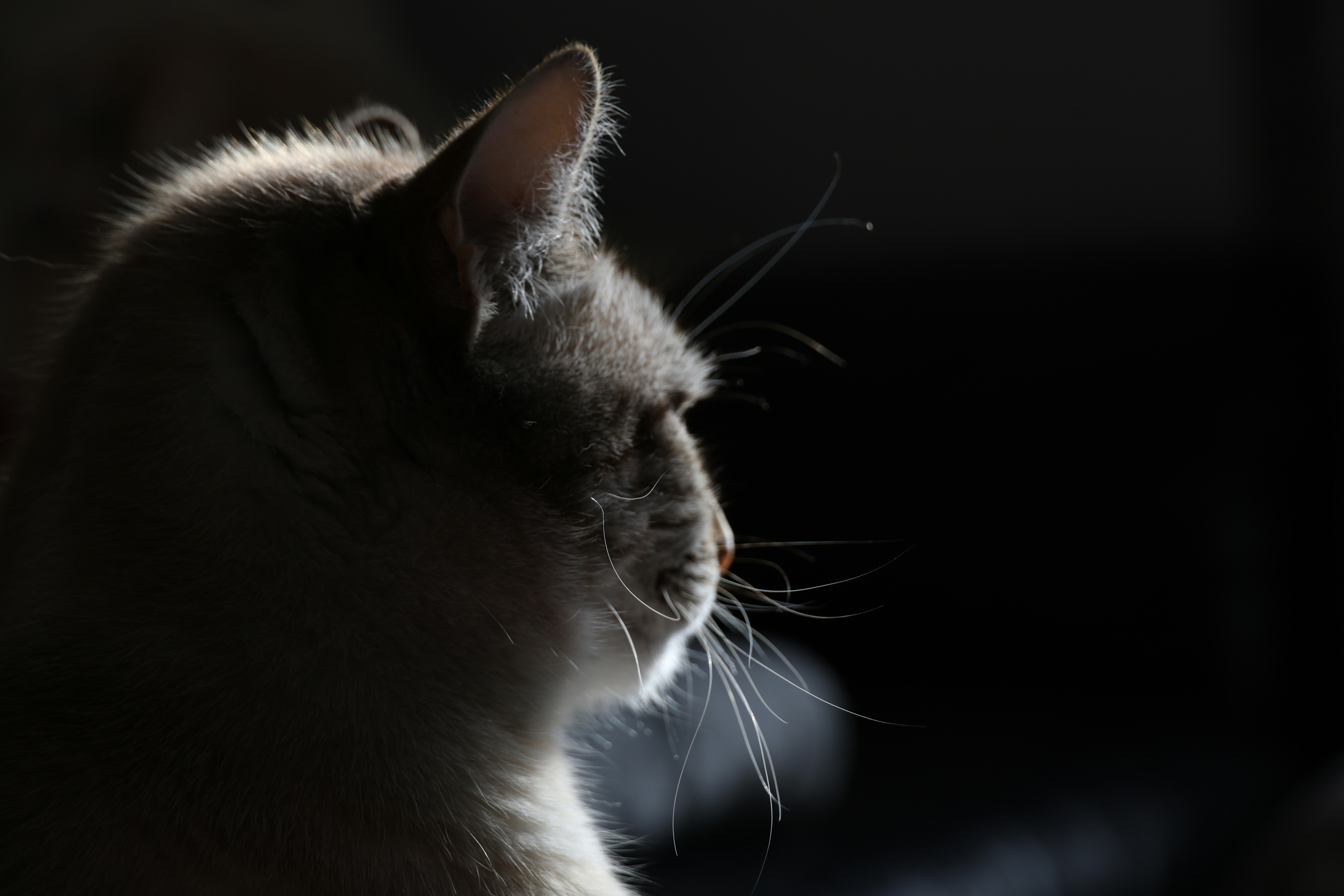 Photo by kathrineheigan