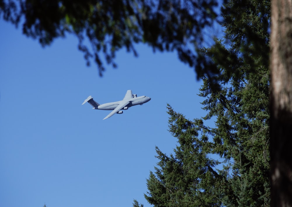 a plane flying over a forest of trees