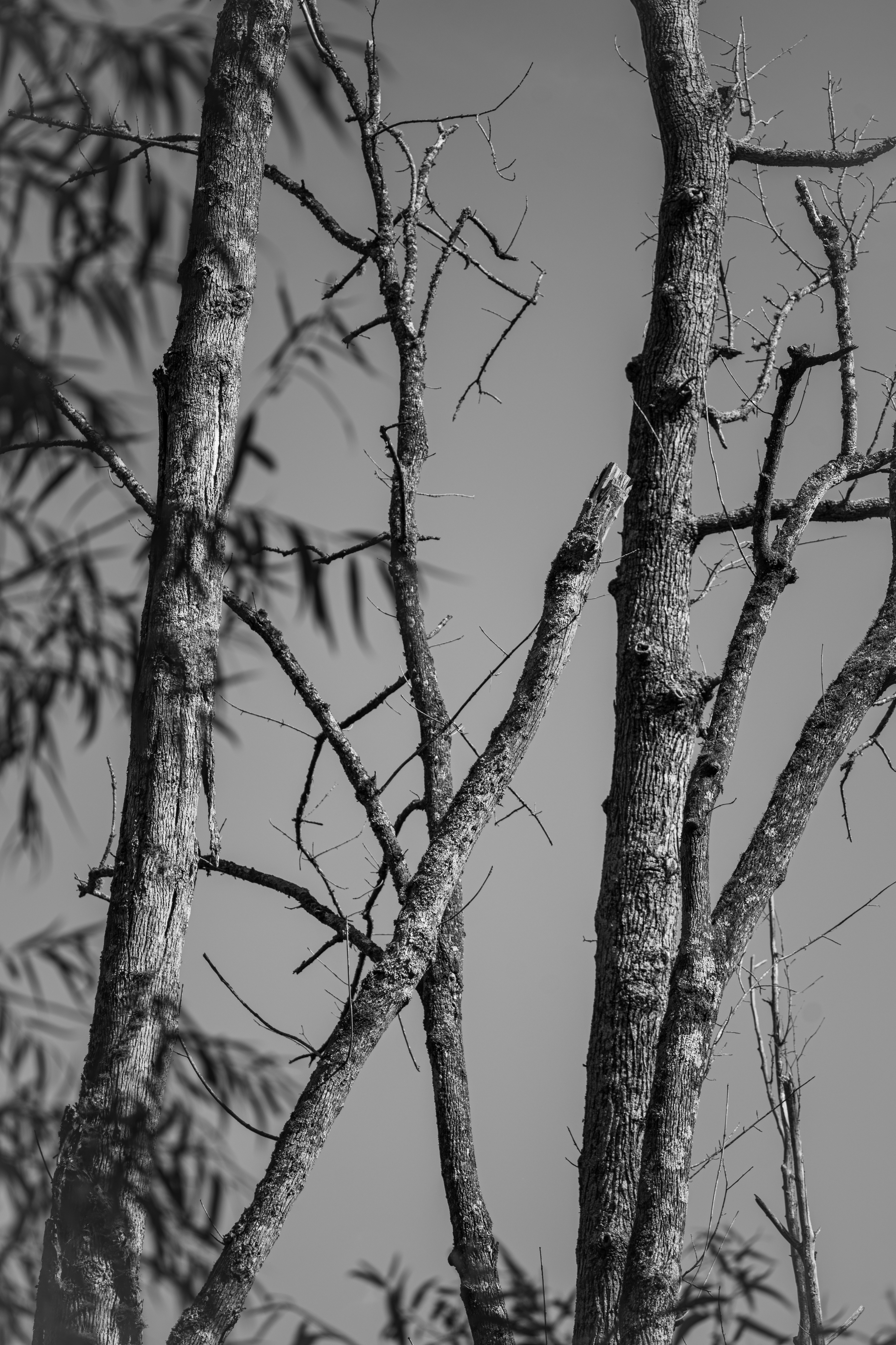 Photo by sznl_dreamr