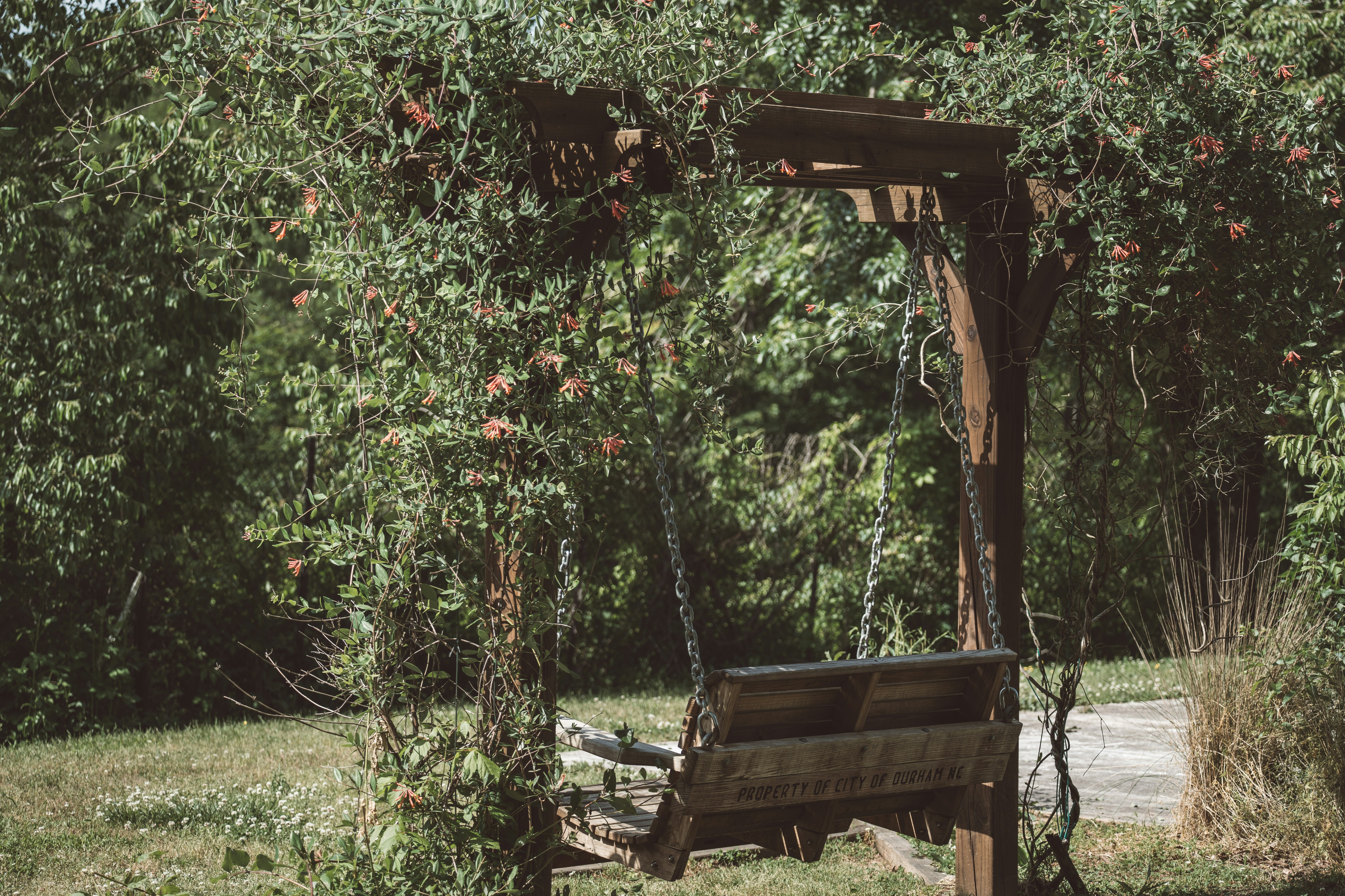 Photo by sznl_dreamr