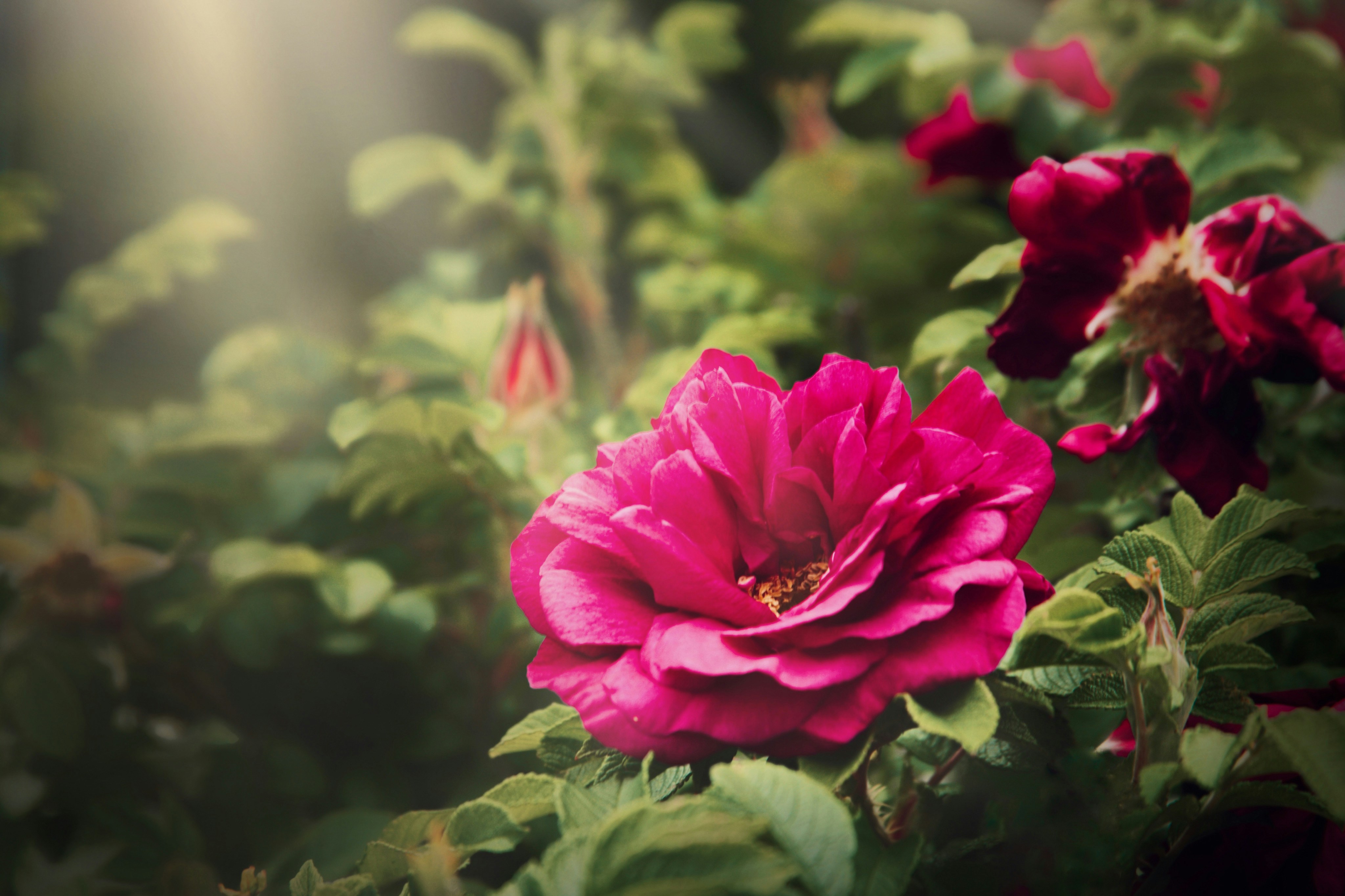 Photo by kristinokarlsen