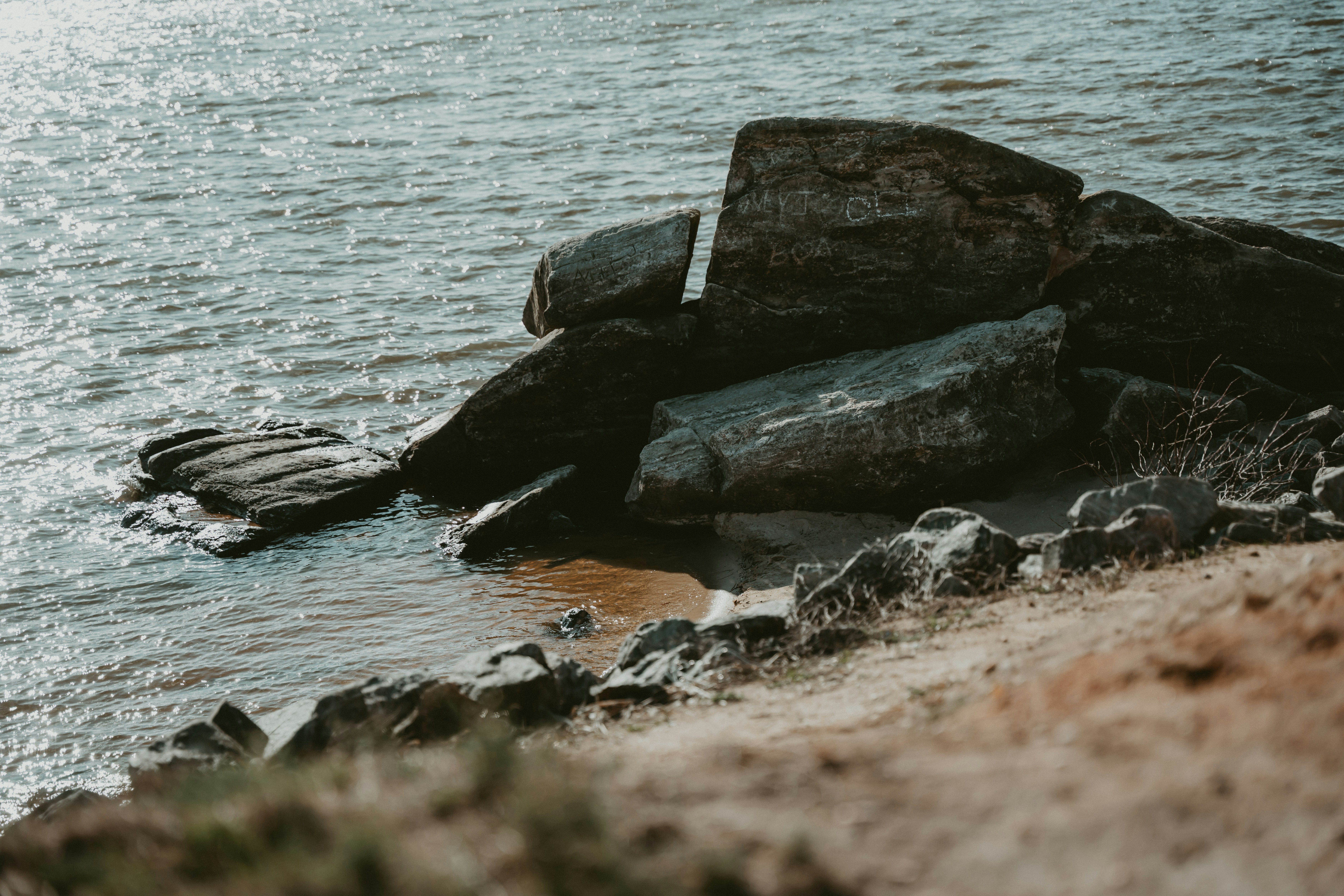 Photo by sznl_dreamr