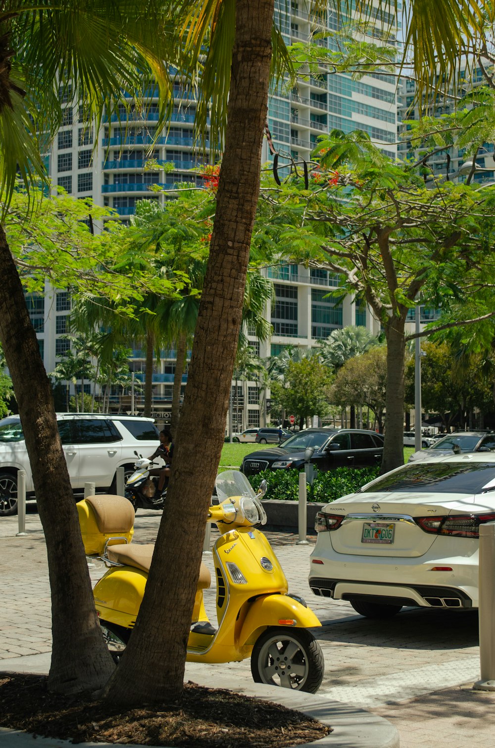 a yellow scooter parked next to a palm tree