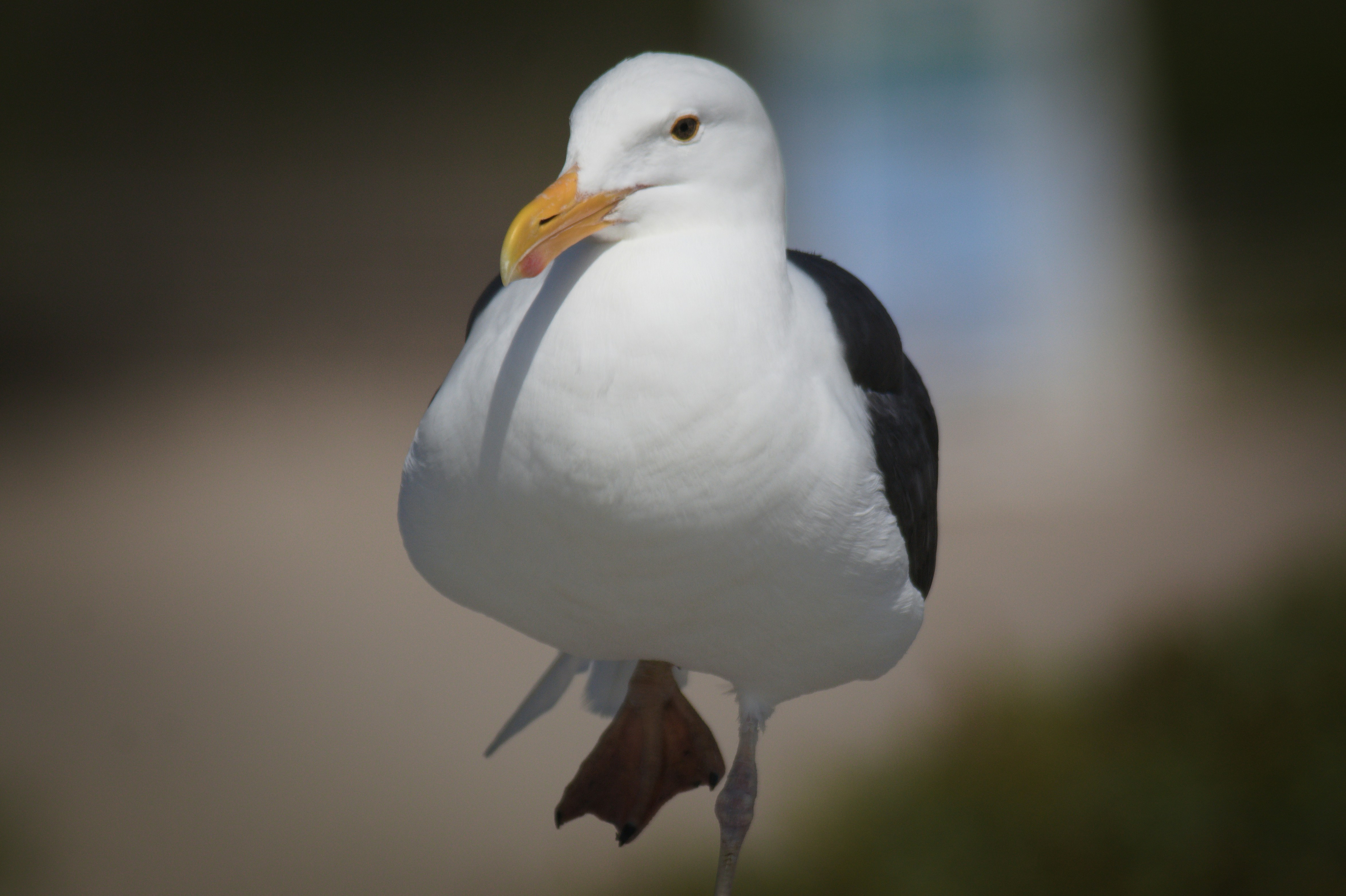 Photo by avian_photography