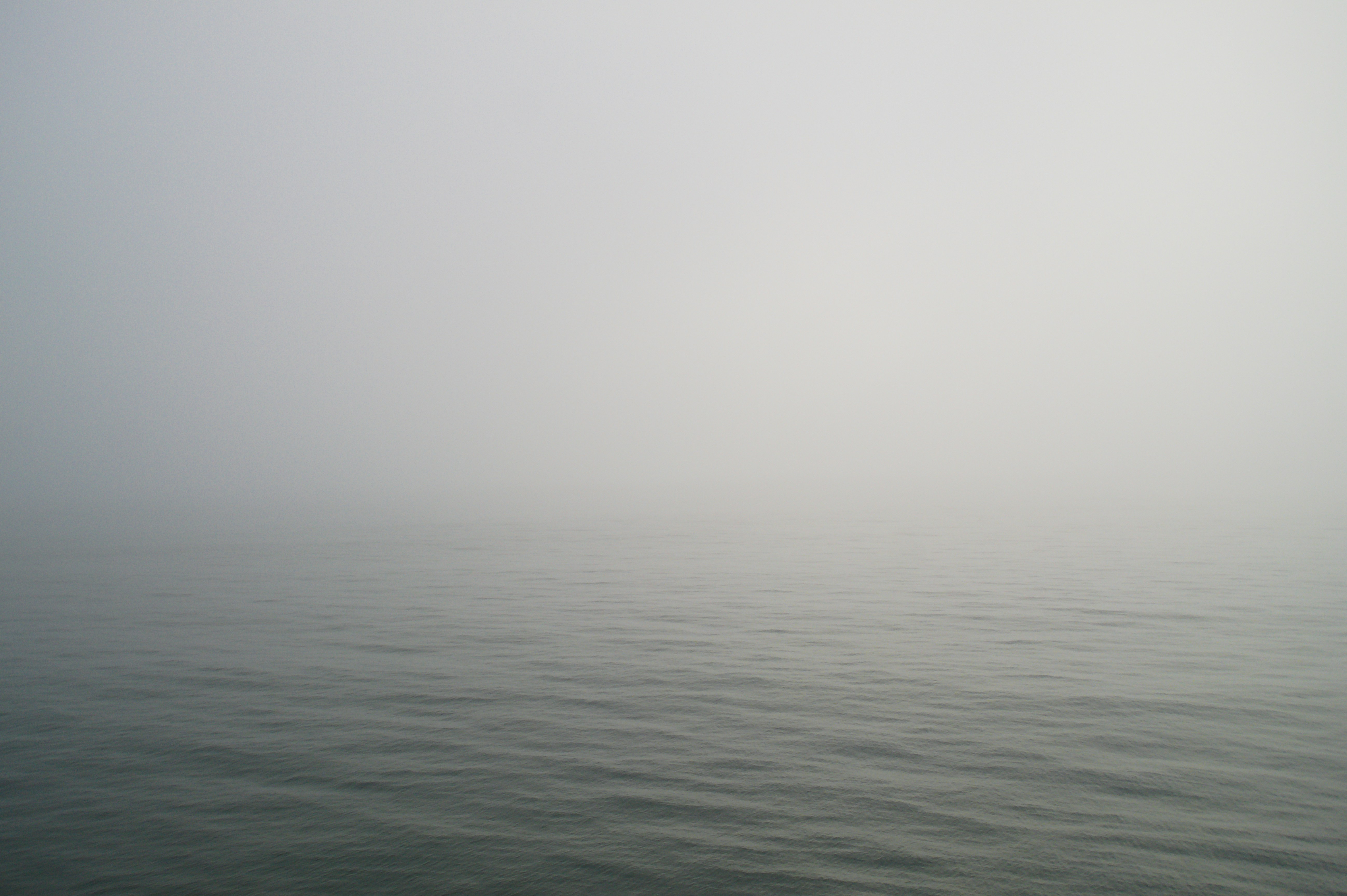 a large body of water surrounded by fog