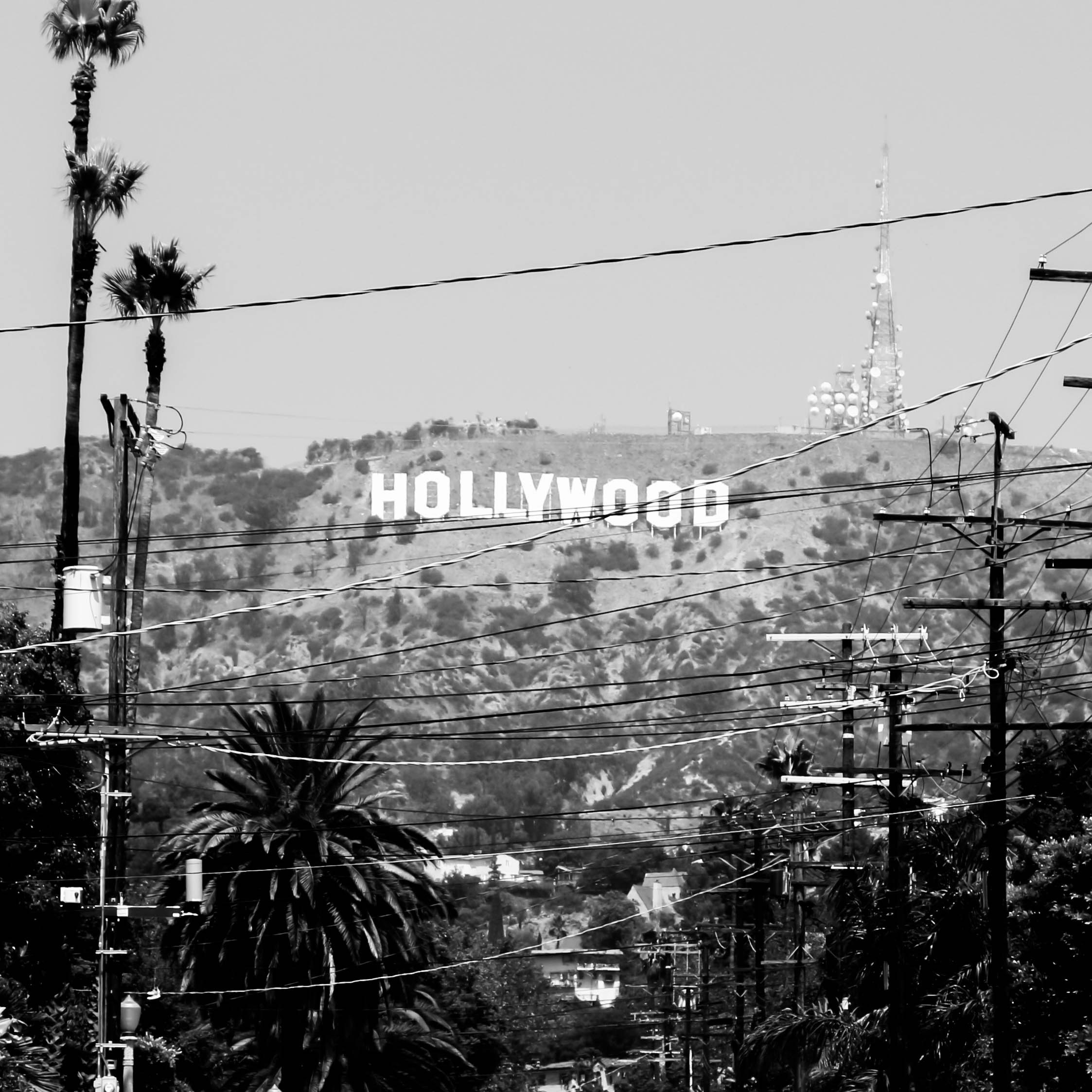 a hollywood sign on a hill with palm trees in the foreground
