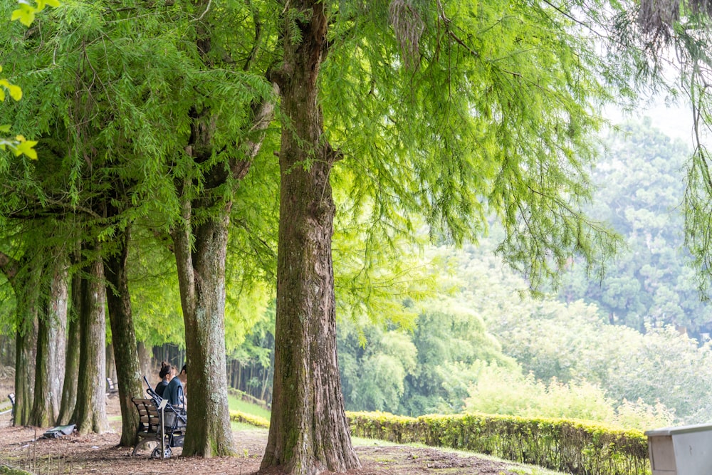 a couple of people sitting on a bench under a tree