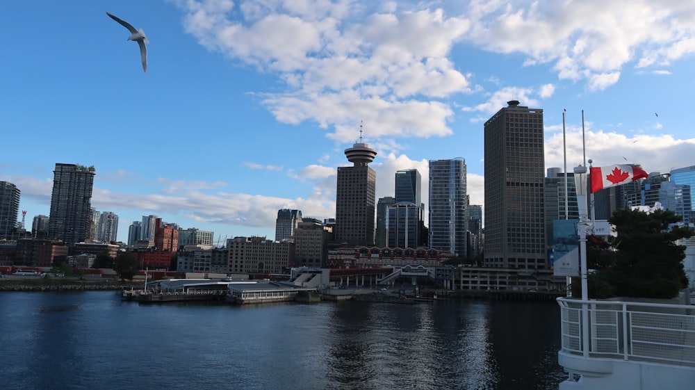 a bird flying over a body of water with a city in the background