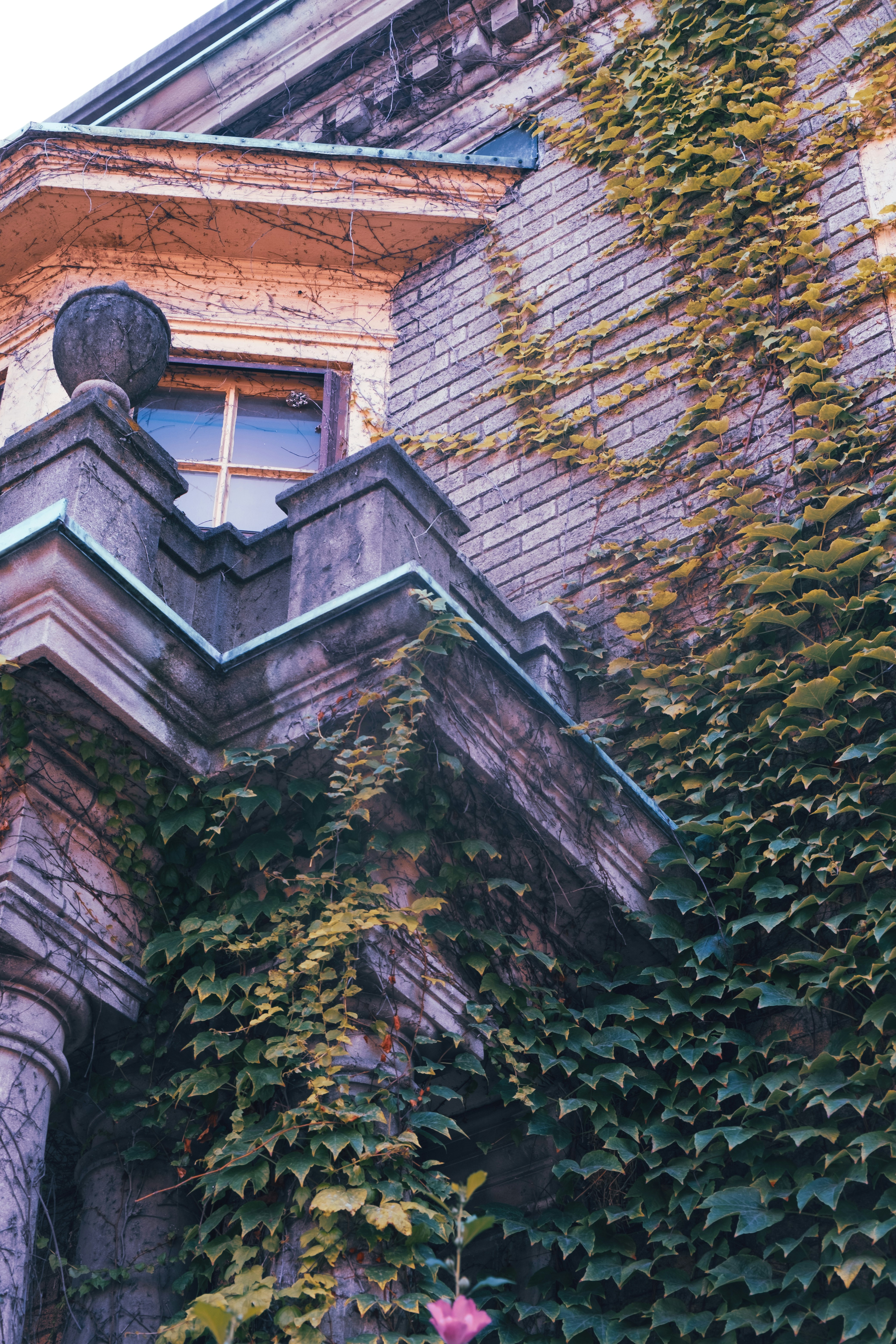 Photo by nellie_adamyan