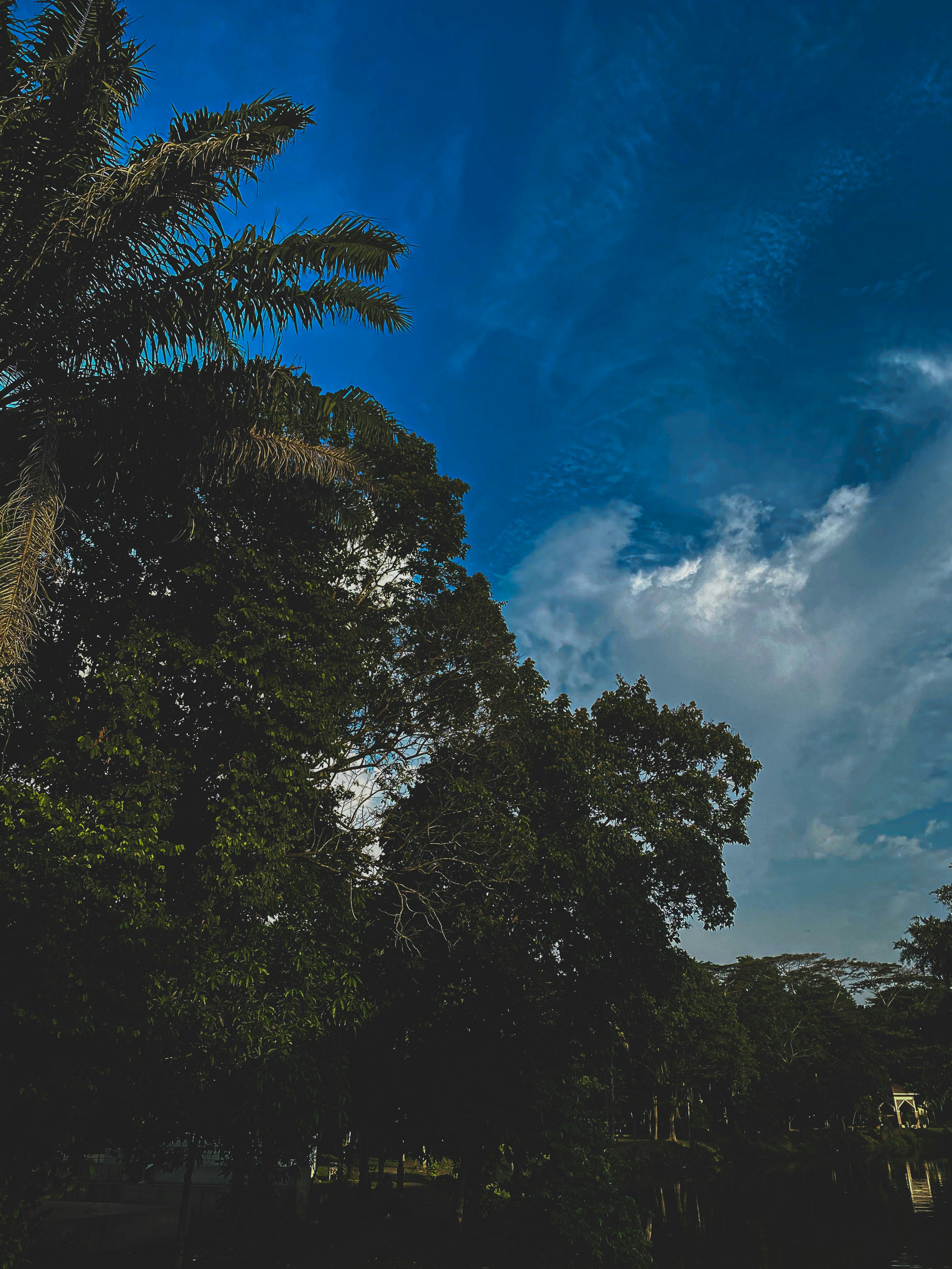 Photo by lkri