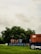 A collection of shipping containers stacked in a grassy field, with a backdrop of dense green trees. The containers bear different logos and colors including red and blue. The sky is overcast with gray clouds, suggesting a moody atmosphere.
