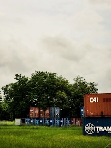 A collection of shipping containers stacked in a grassy field, with a backdrop of dense green trees. The containers bear different logos and colors including red and blue. The sky is overcast with gray clouds, suggesting a moody atmosphere.