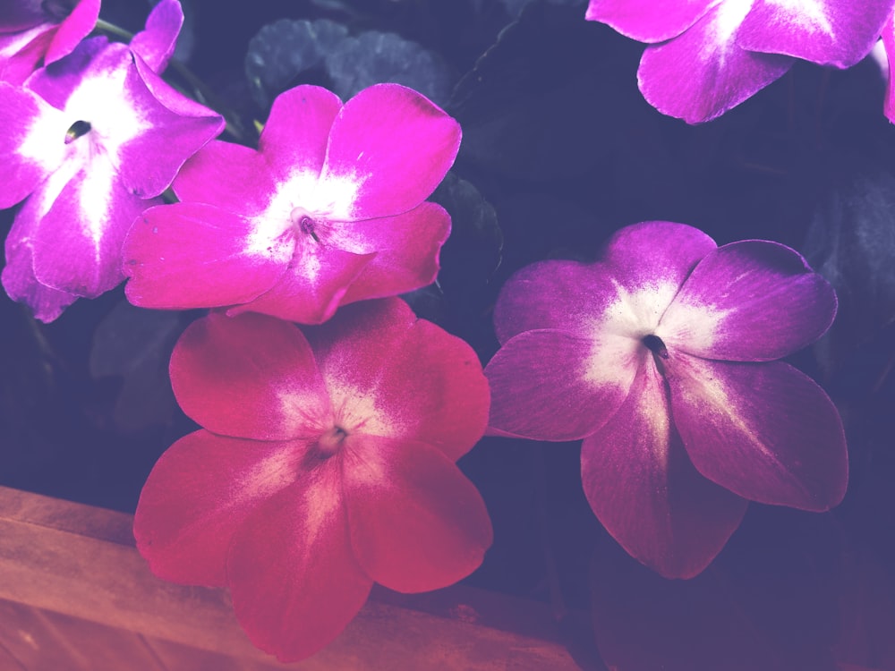 a bunch of flowers that are sitting on a table