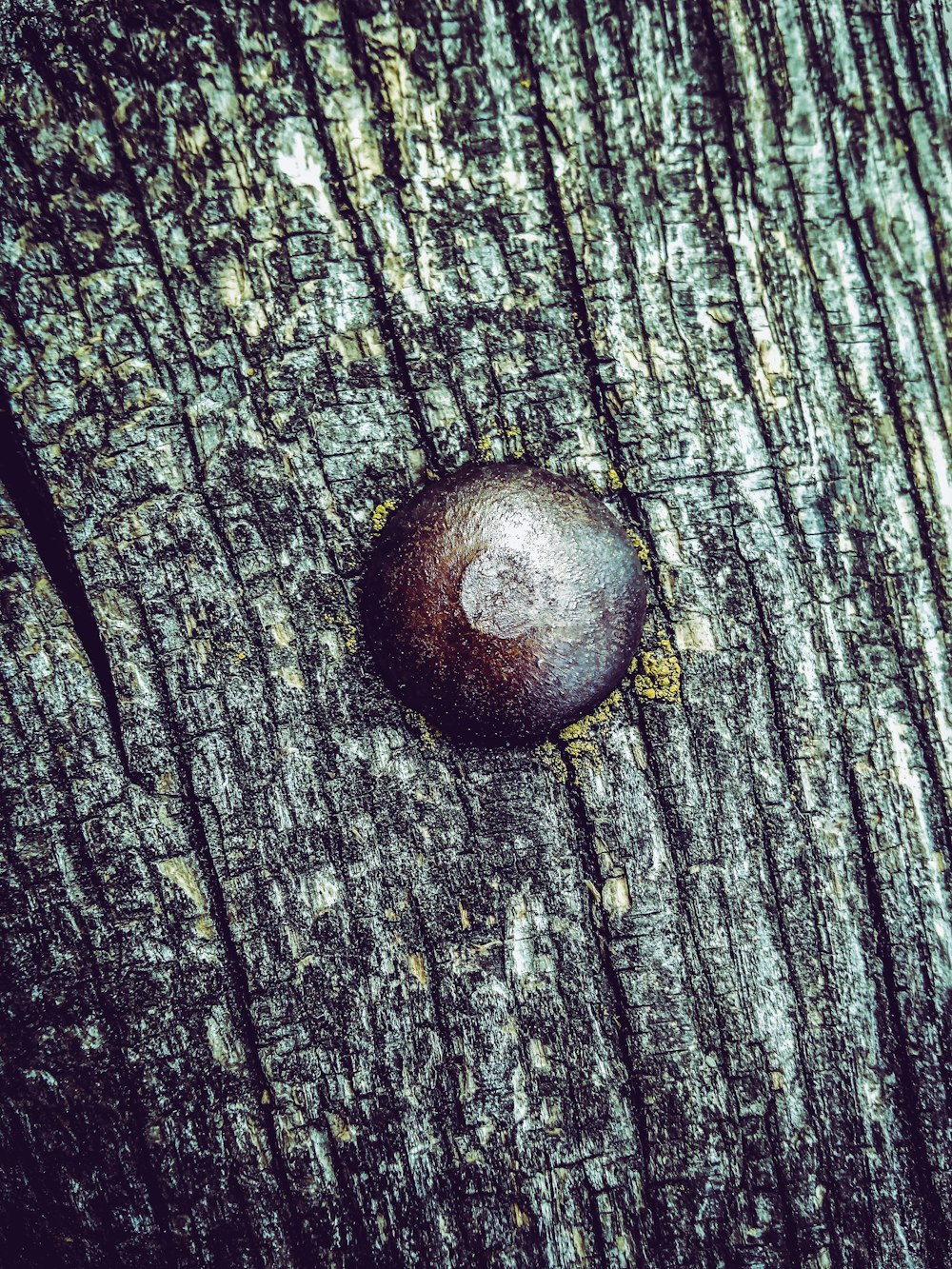 a rock sitting on top of a wooden surface