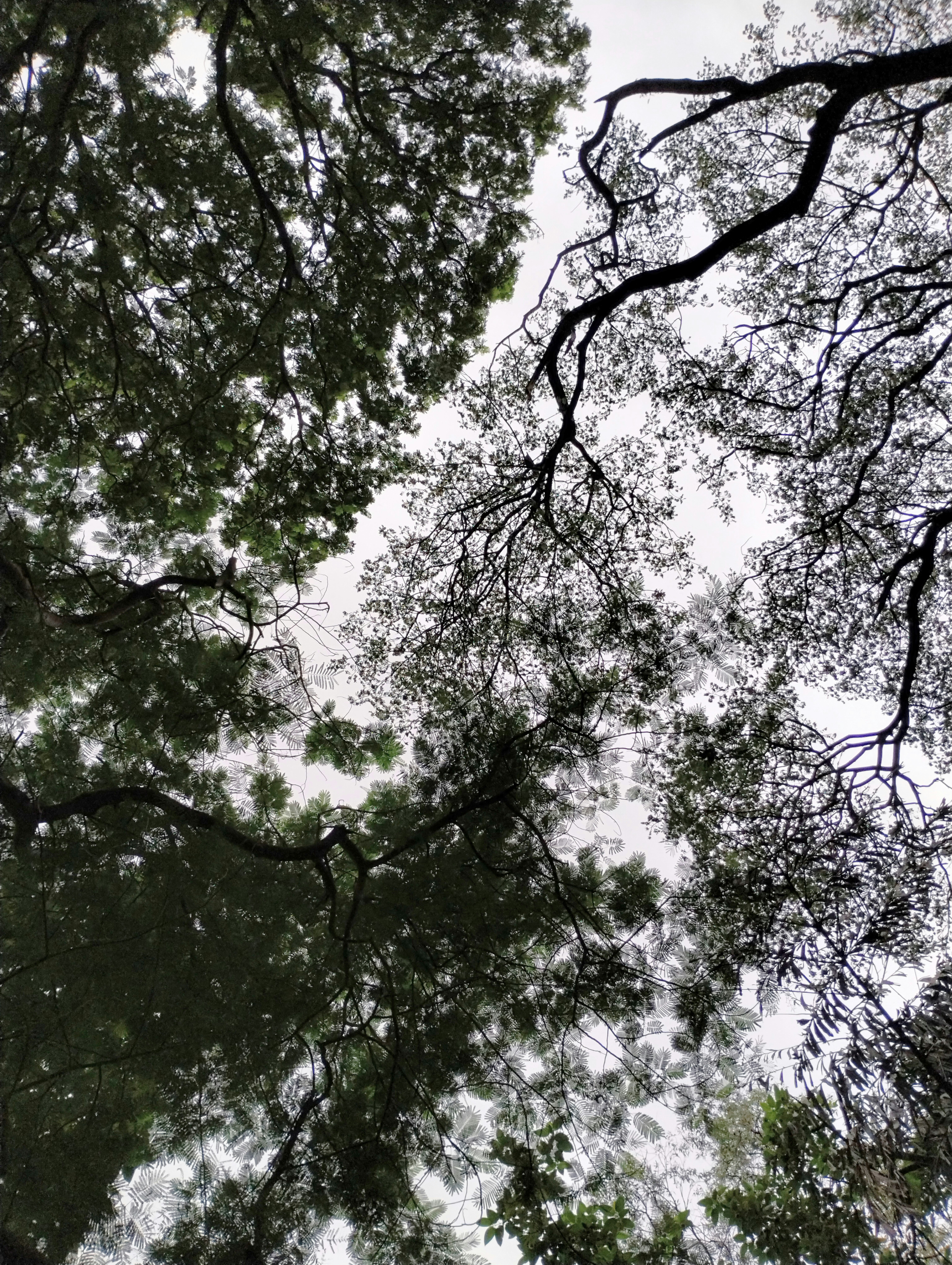 Photo by nikhilnik390