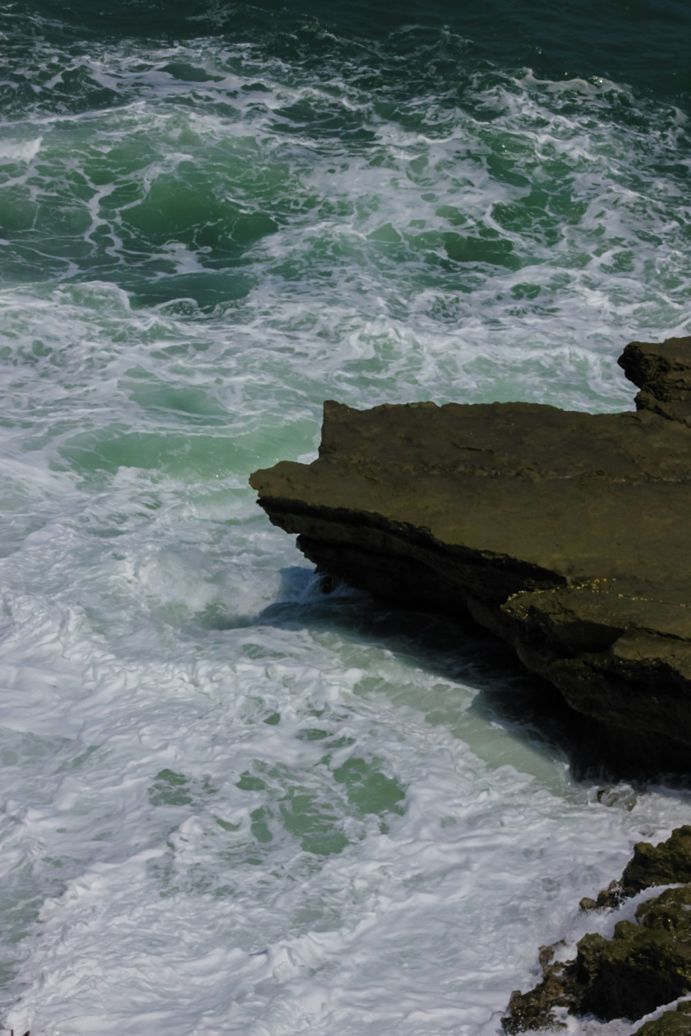 a bird sitting on a rock next to the ocean