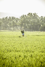 a person standing in a field holding a frisbee