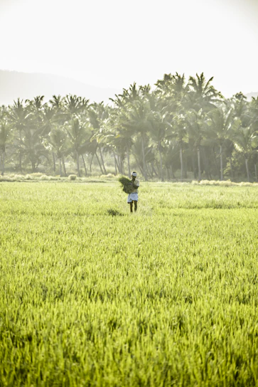 a person standing in a field holding a frisbee