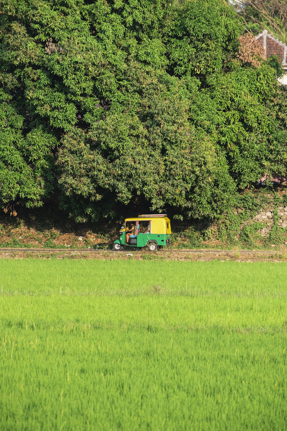 a green and yellow truck parked in a field