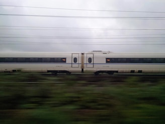 A sleek bullet train speeding past lush green fields under a clear blue sky.