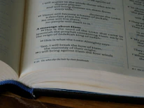 Close-up of a serif font book title embossed in muted gold on a deep green cover.