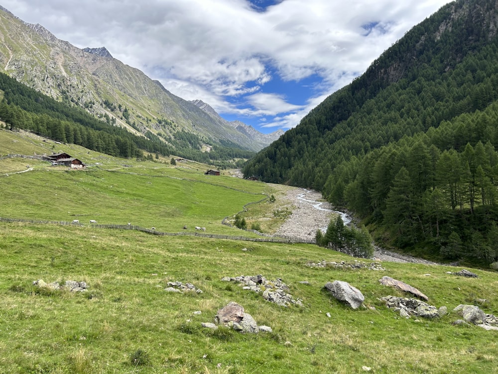 a grassy field with a river running through it