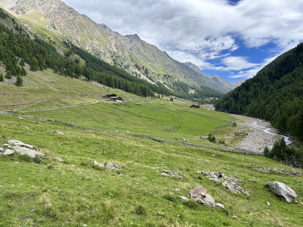 a lush green hillside with a river running through it