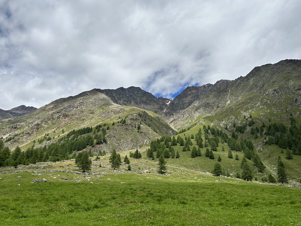 a grassy field with mountains in the background