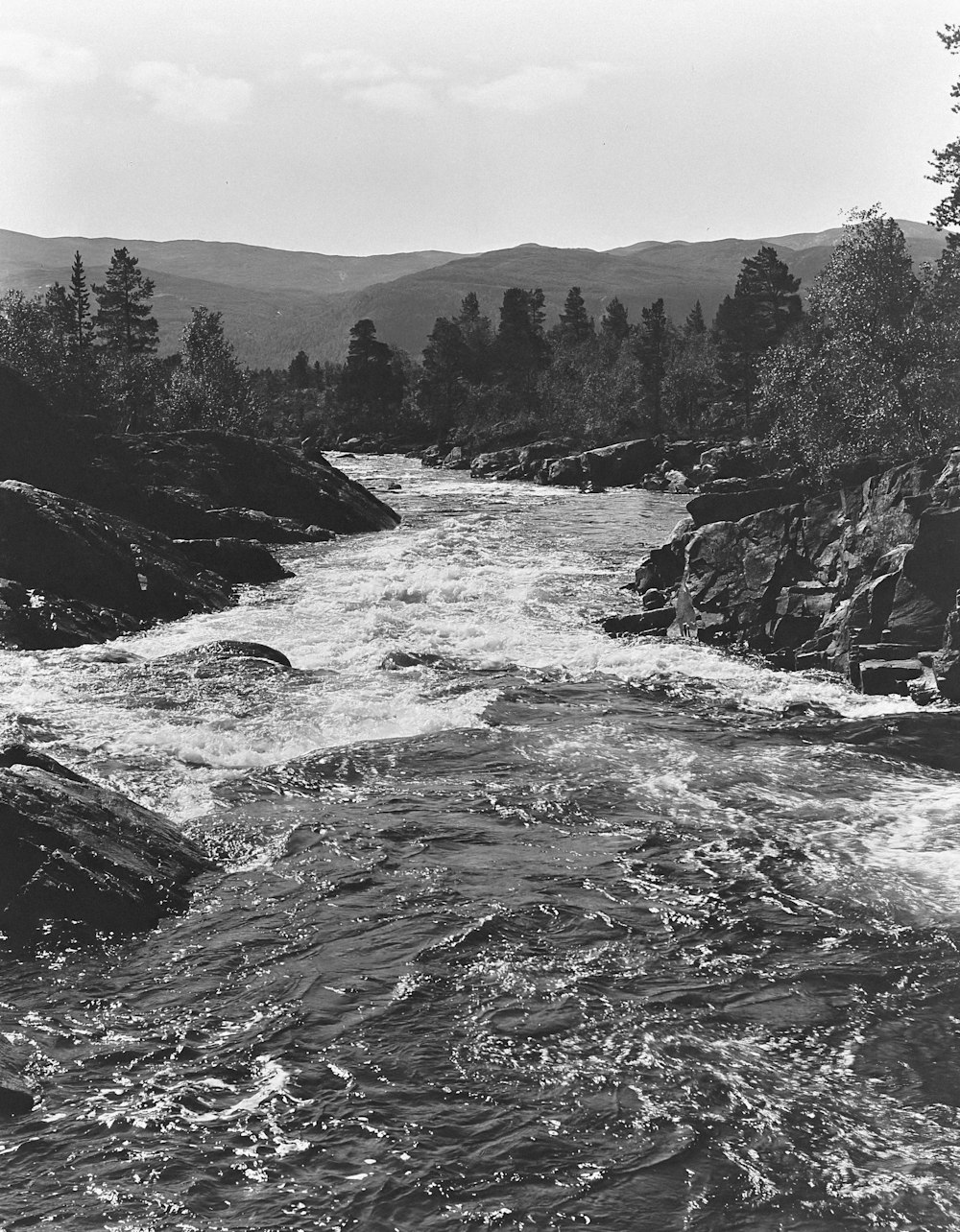 a black and white photo of a river