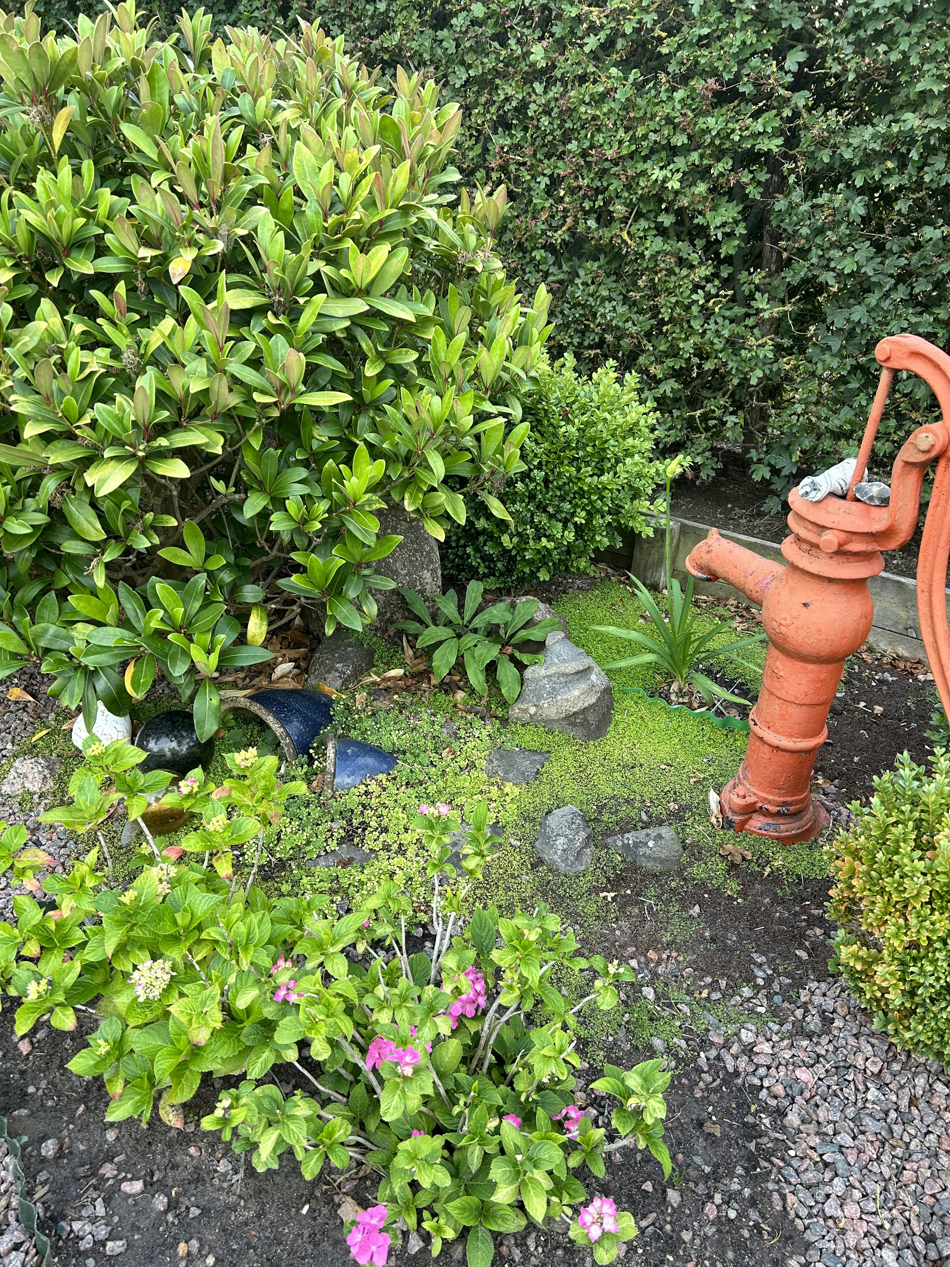 EcoFlow Pump Model X