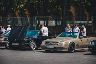 A diverse group of people smiling and chatting while standing next to a car in a sunny park.