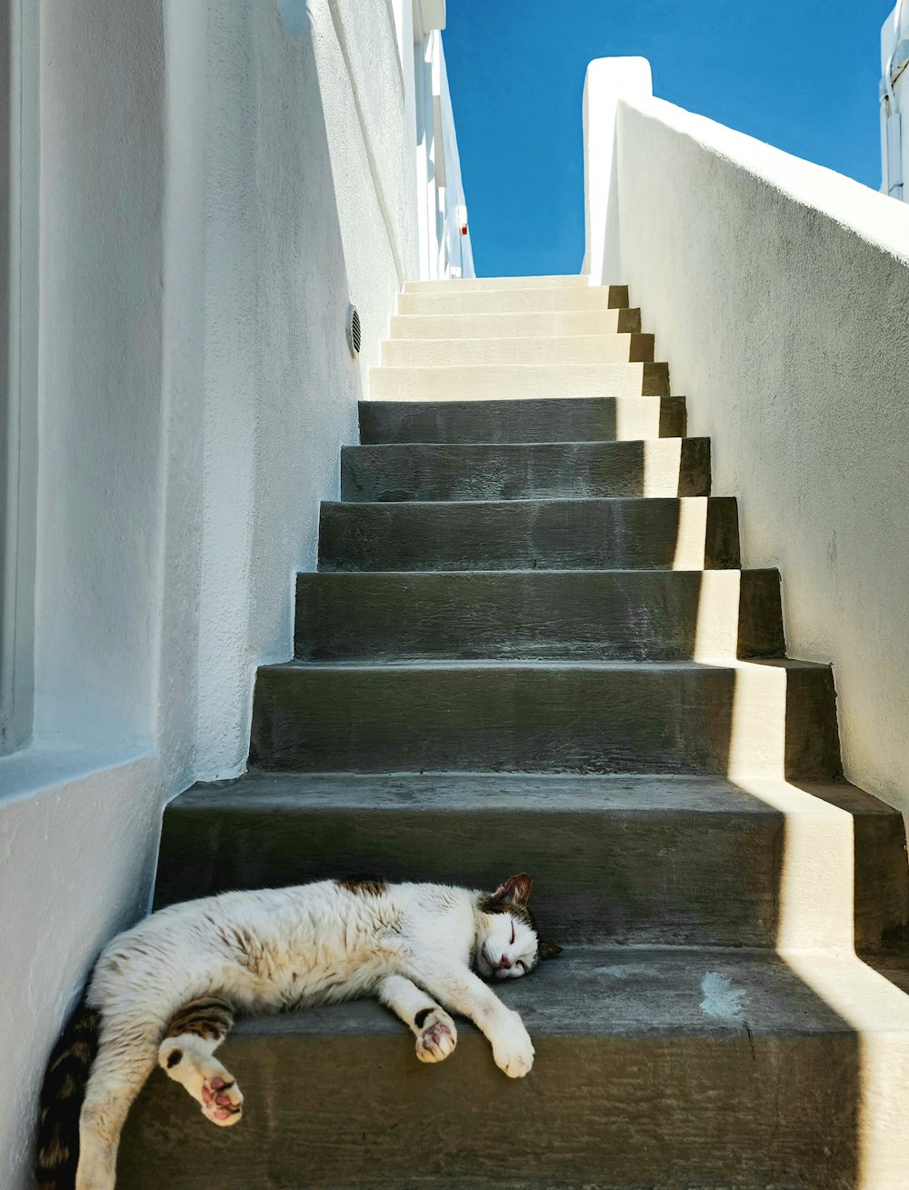 a cat laying on a set of stairs