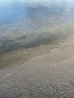 A peaceful shoreline with gentle waves, embodying the soothing spirit of Del Mar Wellness.