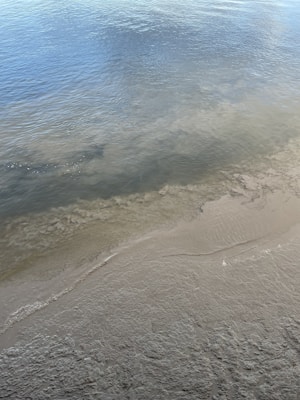 A serene shoreline where gentle waves meet the sandy beach. The water is calm with a mix of blue and green hues, while the sand appears wet and slightly textured.