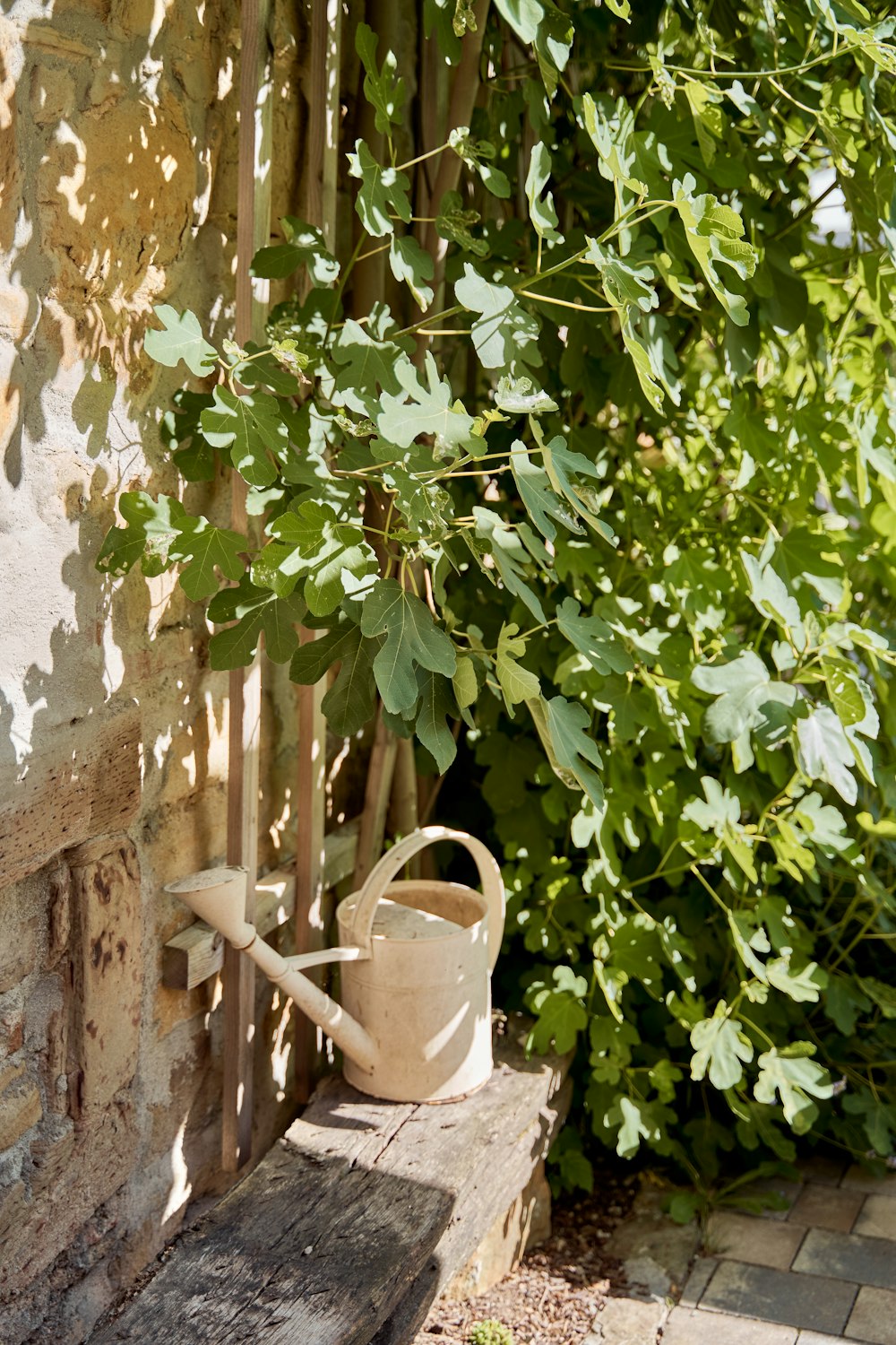 a wooden bench with a watering can on it