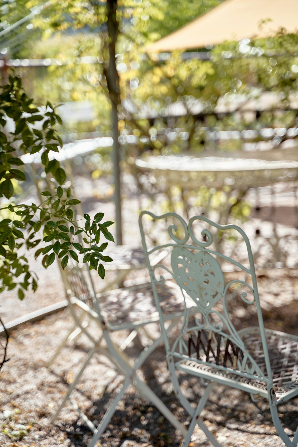 a white metal chair sitting under a tree