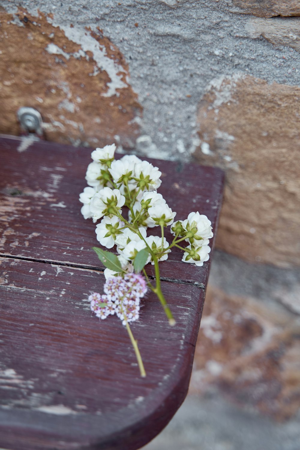 a bunch of flowers sitting on top of a wooden bench