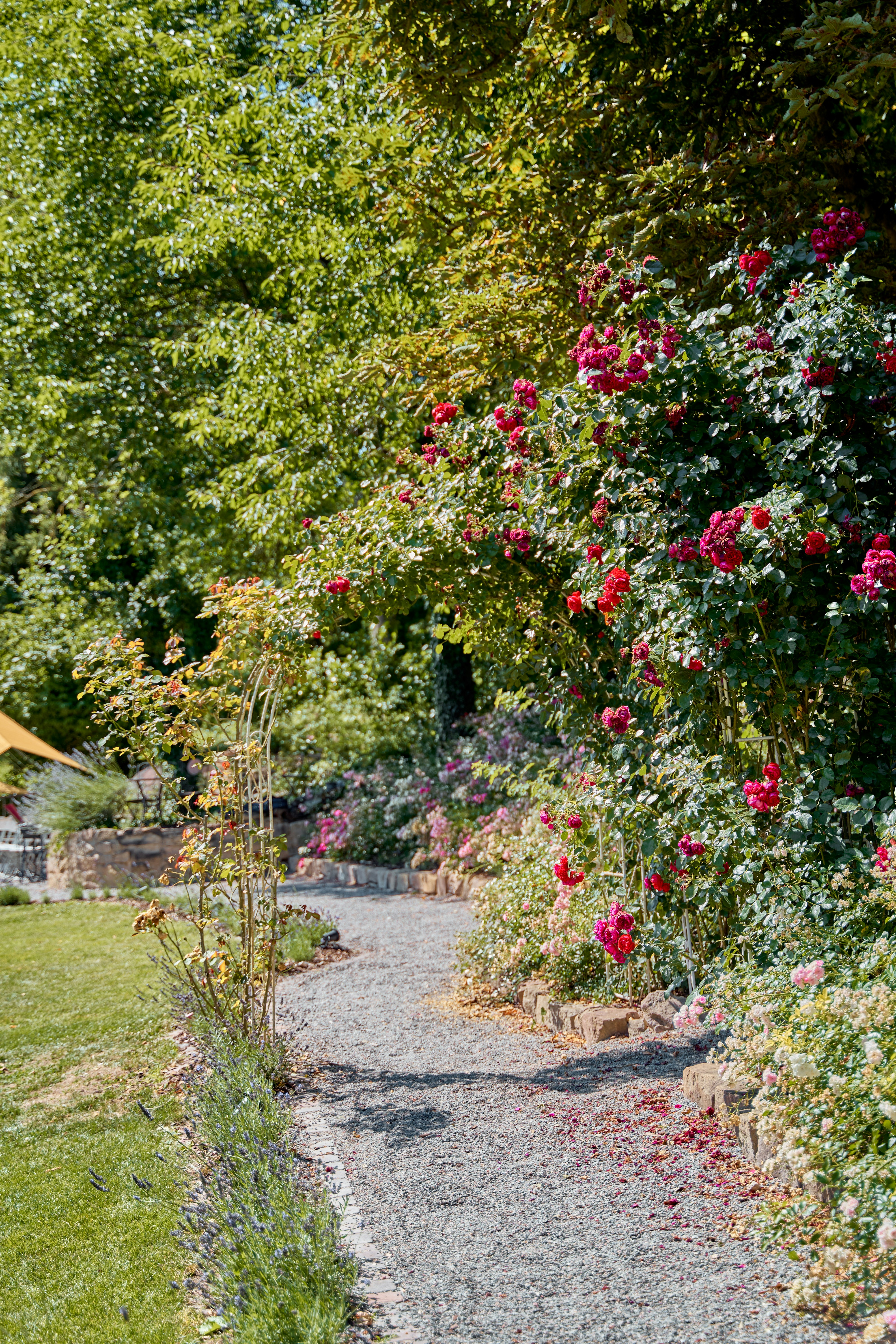 Ein Pfad durch einen Garten mit vielen Blumen